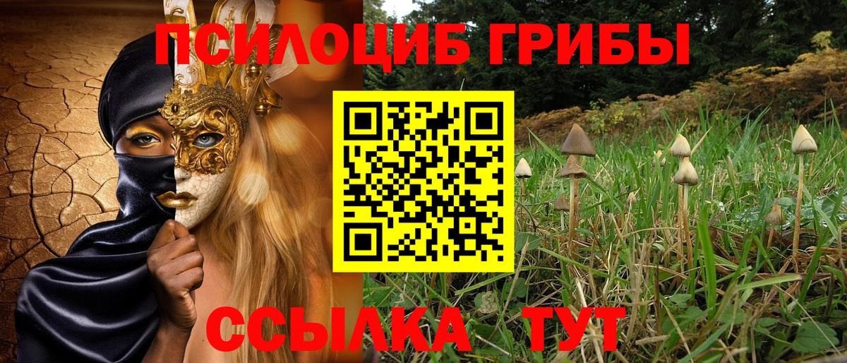Псилоцибиновые грибы мухоморы  Вход с VPN  Псилоцибиновые грибы Cubensis  Моздок 